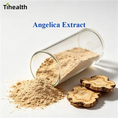 Extract de Angelica Sinensis (Ligustilid standardizat)|Premium Women's Health API|Verificat prin HPLC